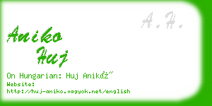 aniko huj business card